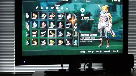 botw max inventory|Inventory .